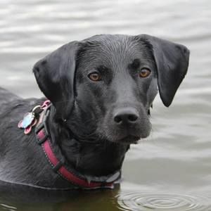 Meet your Posher, Tracey